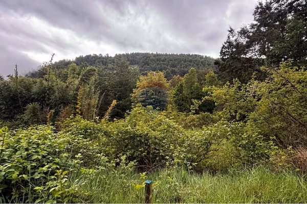 Venta terreno 1 ha en huerquehue