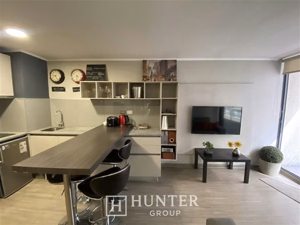 Oferta Arriendo Dpto Amoblado 350.000 (x 2 meses) Santiago