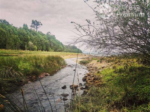 Parcela en venta en Puyuhuapi a 20 Mint de puerto Cisnes