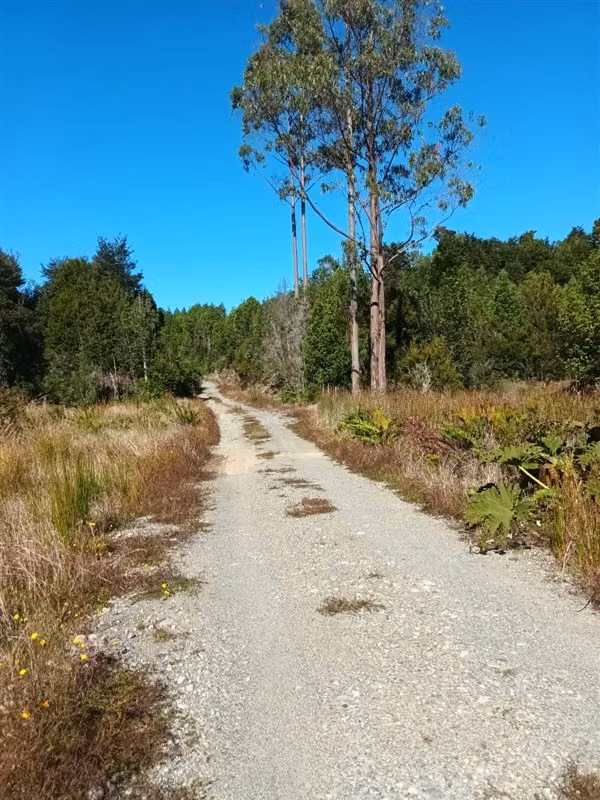Campo de 16 Hectáreas en Chiloé