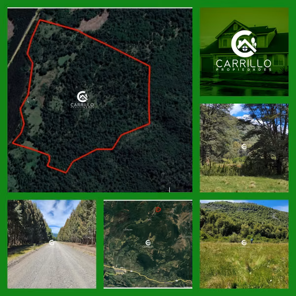 VENDEMOS CAMPO EN CURACAUTIN