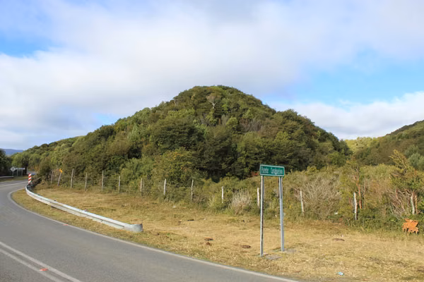 Campo con bosque nativo / Cucao, Chonchi