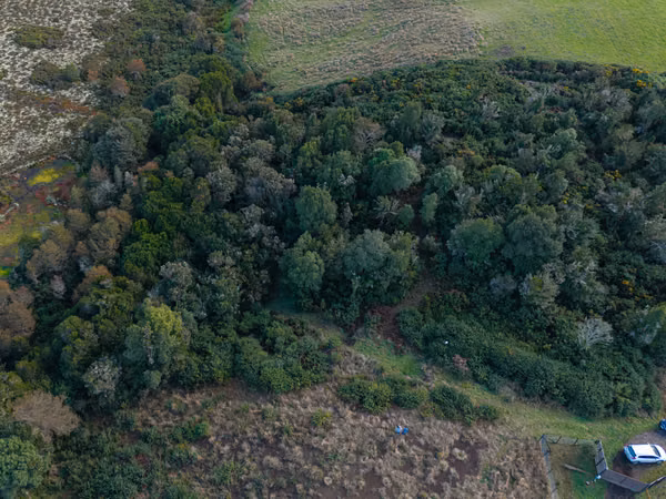 Parcela con bosque/Quilquico