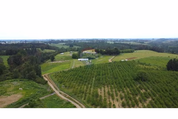 Venta terreno de 4.8 hectáreas sector centinela