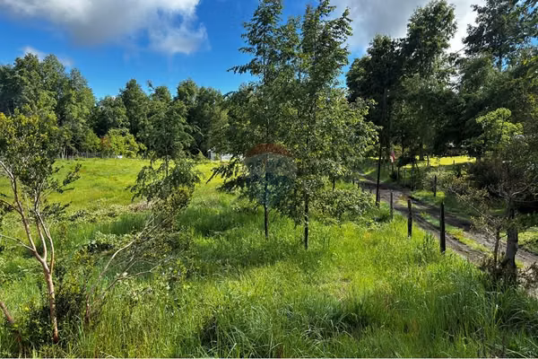 "serene 5000m² plot in picturesque pucon"