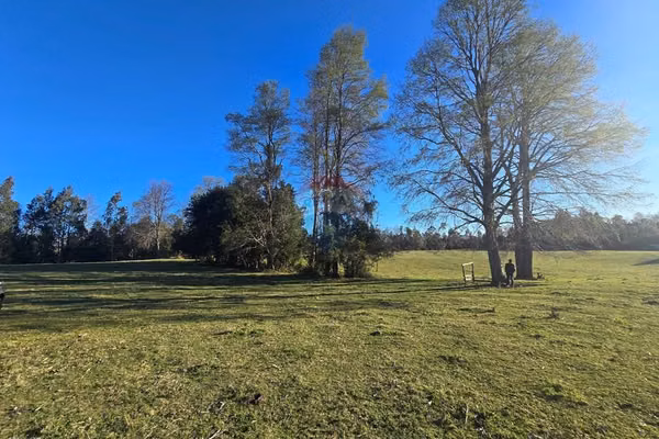 Parcela de ensueño en villarrica