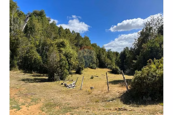 Terreno en san juan de la costa - osorno