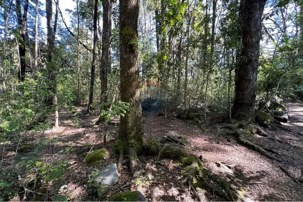 Parcela con orilla de camino al volcán, pucón
