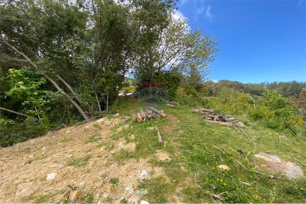Venta parcela 5000 mts2 valdivia
