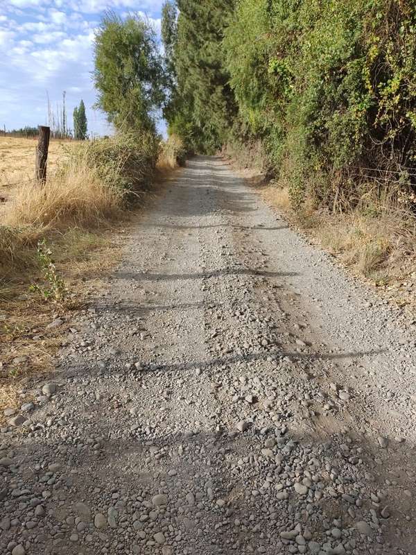 Terreno de 2,5 hectárea en Parral