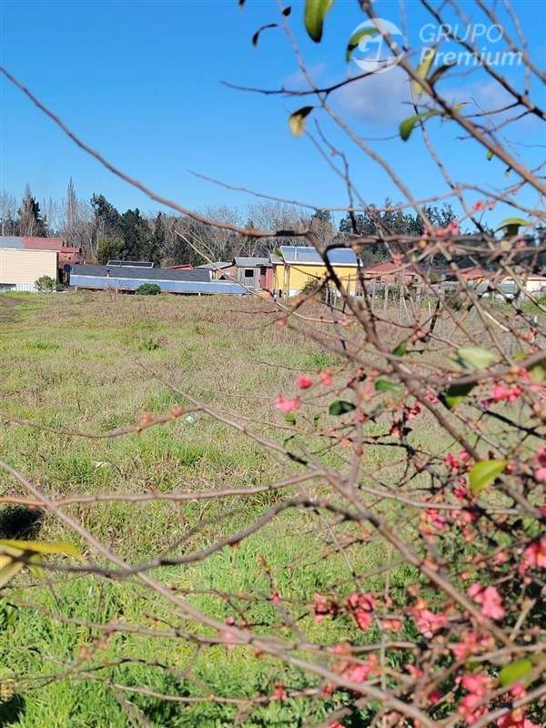 Sitio en venta en Hualqui con luz y agua