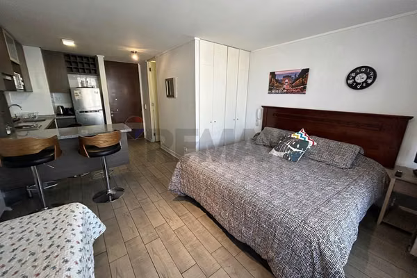 Depto mono ambiente amoblado con bodega