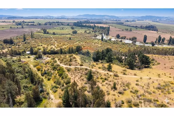 ¡terreno agrícola 93 ha en pumanque, chile!