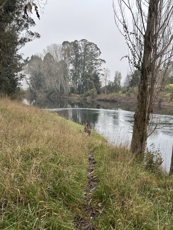 SE VENDE ESPECTACULAR PARCELA A 15 MN DE  OSORNO