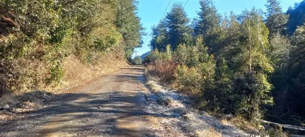 Se Venden 32 hectáreas Cam. Villarrica - Lican Ray