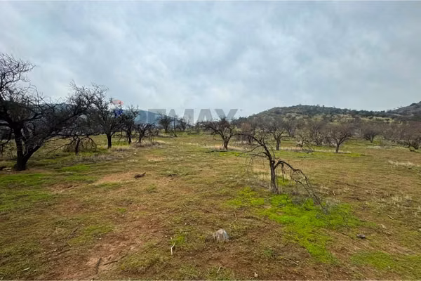 Venta terreno de 7000m² en chamisero