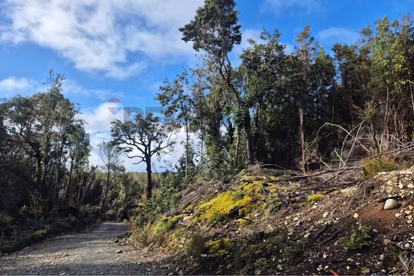 Lote de 3 parcelas , molulco-natri, chiloe