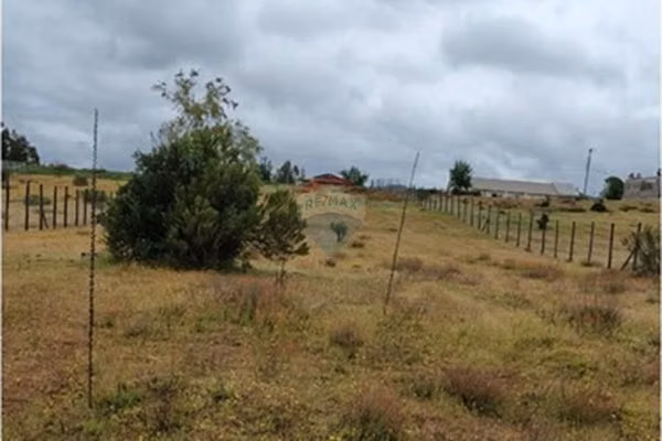 Terreno 5.000 m², nilahue alto, acceso pavimentado