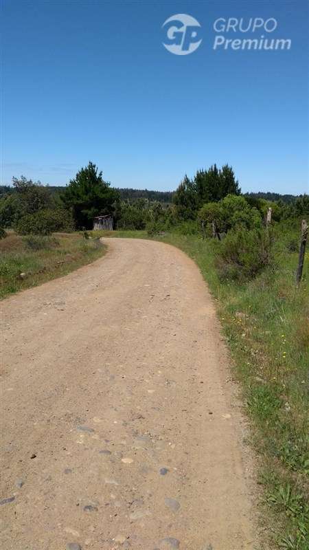 Excelente oportunidad: 6,88 ha rurales en Quillón