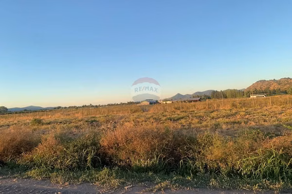 Parcela de 5.000 m² en chomedahue – la patagua,