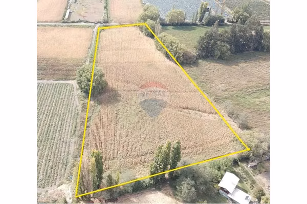 Terreno agrícola de 14.300 m2 en paine
