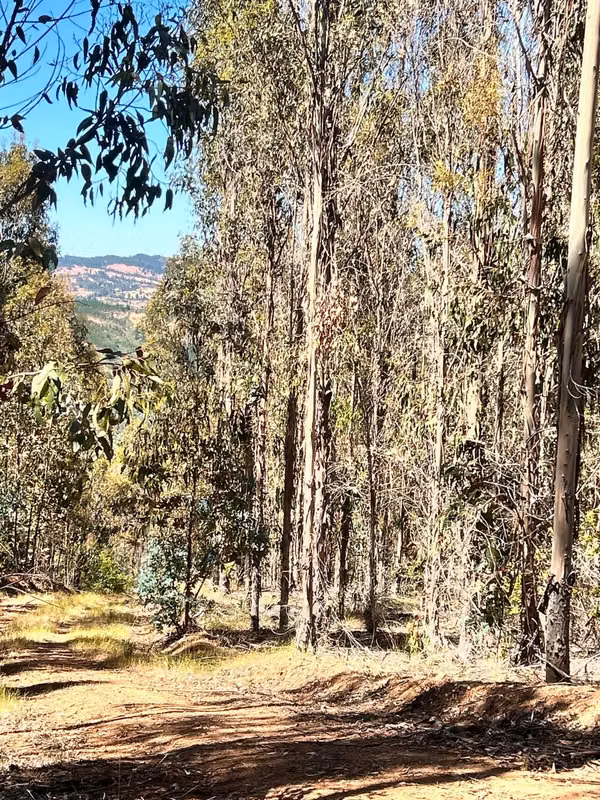 Gran oportunidad de terreno para inversión
