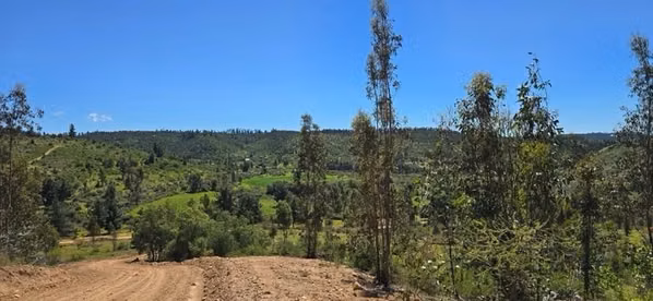 PARCELAS A 35 MIN DE PICHILEMU ROL PROPIO A 10 MIN RUTA I-90