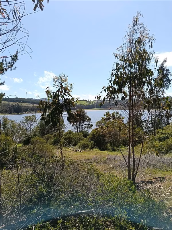 Parcelas en Boyeruca con vista a Salinas Lo Valdivia 5.000m2
