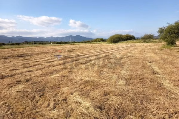 Parcela en los mayos: inversión tranquila y segura