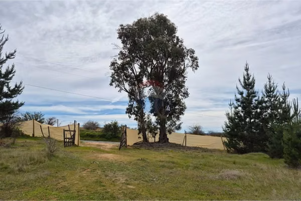 Parcela de 5200 m2 en cauquenes