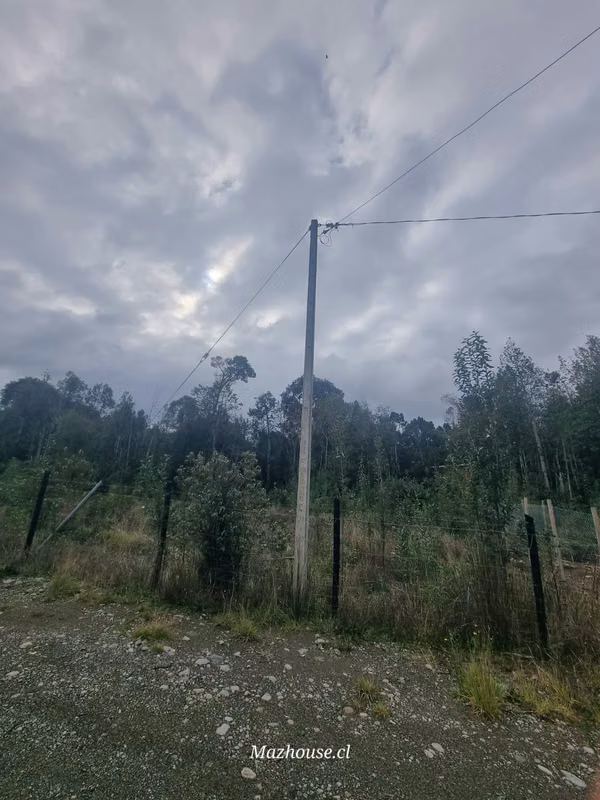 VENDO PARCELA EN SANTA ANA COLONIA 3 PUENTES PUERTO VARAS