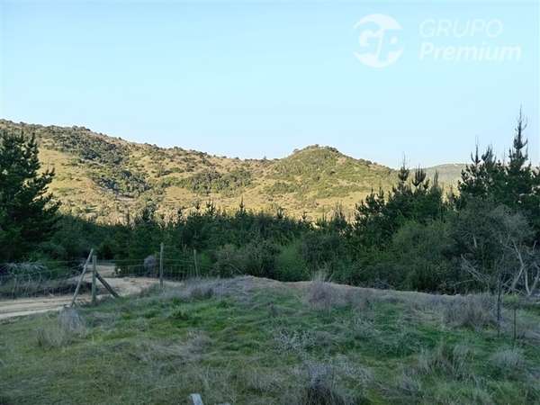 Parcela con casa en venta en Chépica