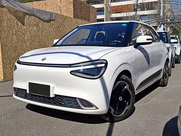 DONGFENG NAMMI 2025