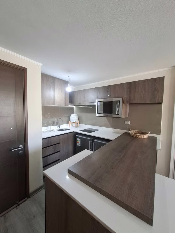 Arriendo Amoblado Depto. 1D/1B - Santiago