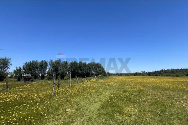Gran parcela en longavi