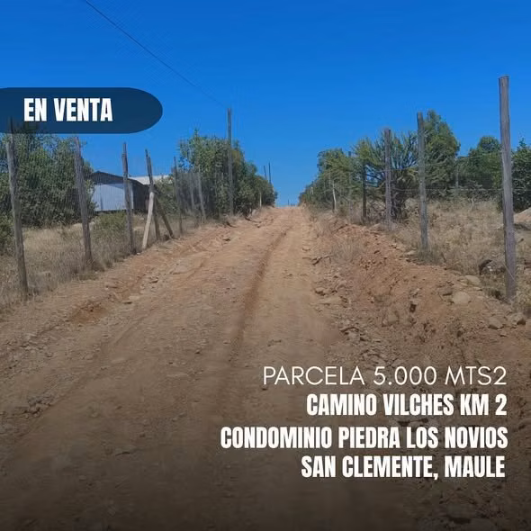 VENTA PARCELA SAN CLEMENTE 5000MTS2