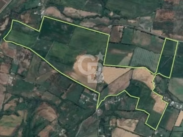 Fundo Agrícola 74 há con riego inscrito en Longaví