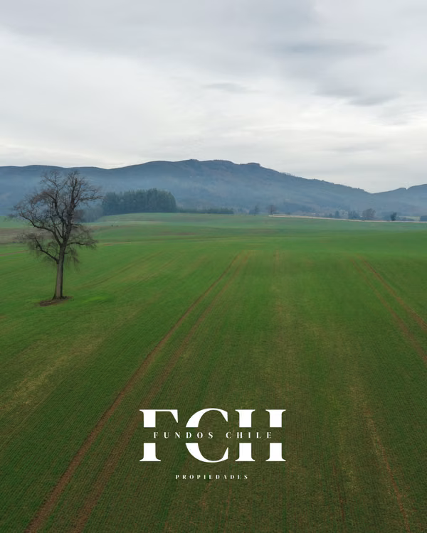 142 Hás Agrícola y Ganader - Pumalal Temuco.