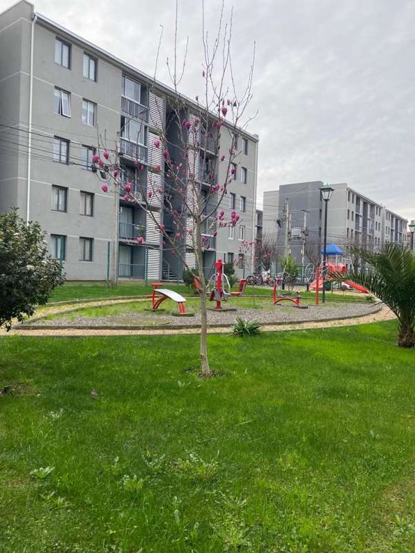 Departamento semi amoblado en arriendo en Chillán,