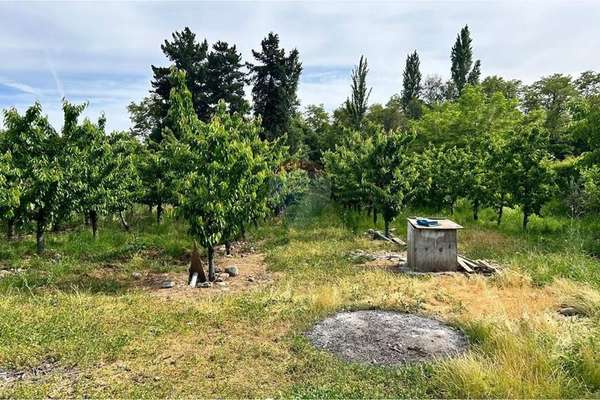 Parcela agrícola en curicó, maule