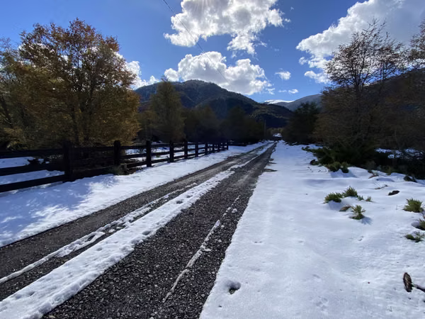 VENTA PARCELA 5000 M2 MALALCAHUELLO