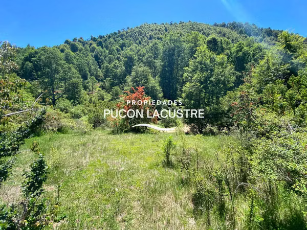 Parcela Sector la Barda Pucón Urbanizada (180481)