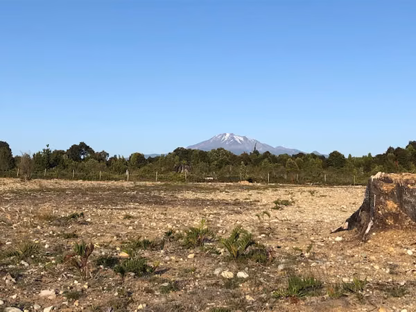 Dueña Vende Terreno Senda Central