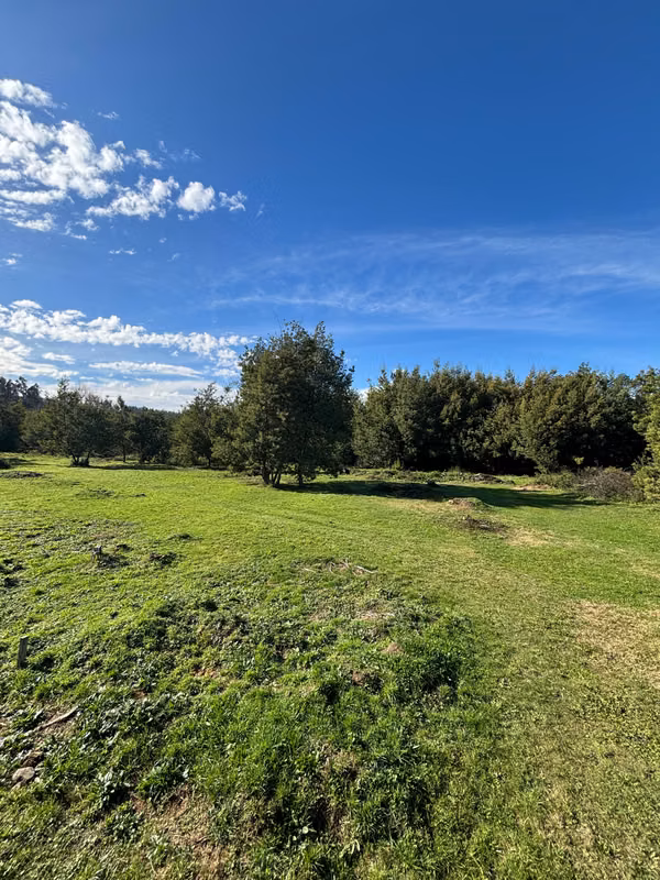 VENTA HERMOSOS SITIOS A 10 MIN DE CONCEPCIÓN