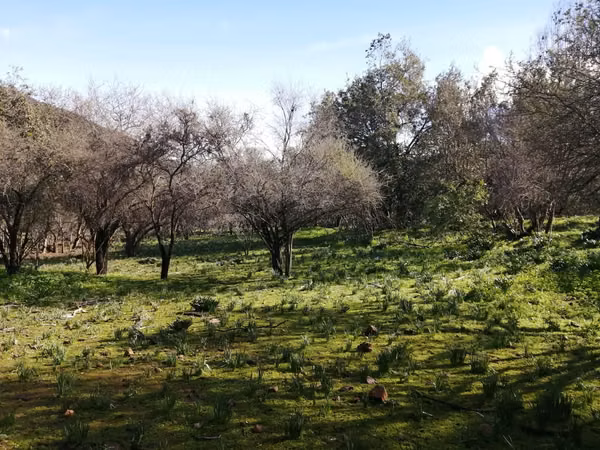 Venta Terreno Olmué