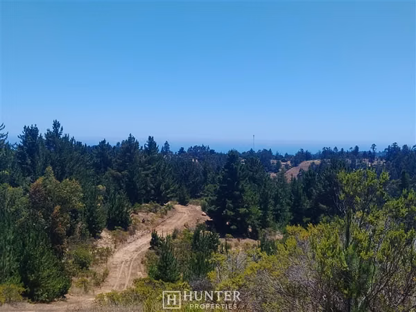 Oportunidad y Proyección!! Terreno Puertecillo, VI Región
