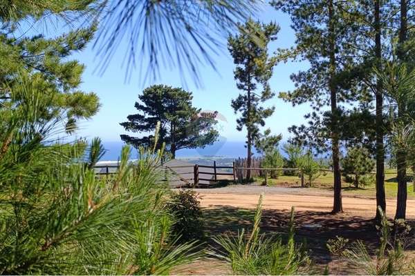 Terreno plano 5.000 m² vista mar protegido viento