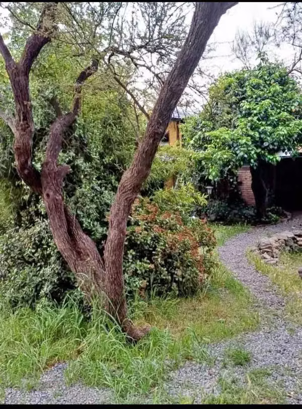 Casa estilo rustico en Comunidad Ecologica (180884)