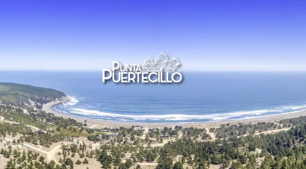 Parcela En Condominio Punta Puertecillo  (180901)