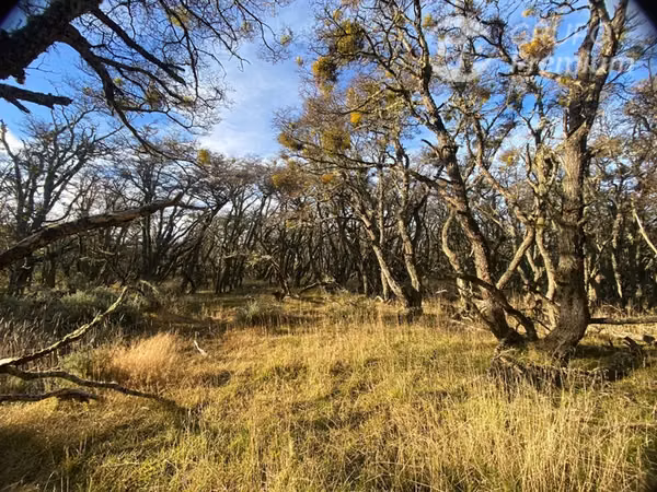 Parcela en venta en Punta Arenas